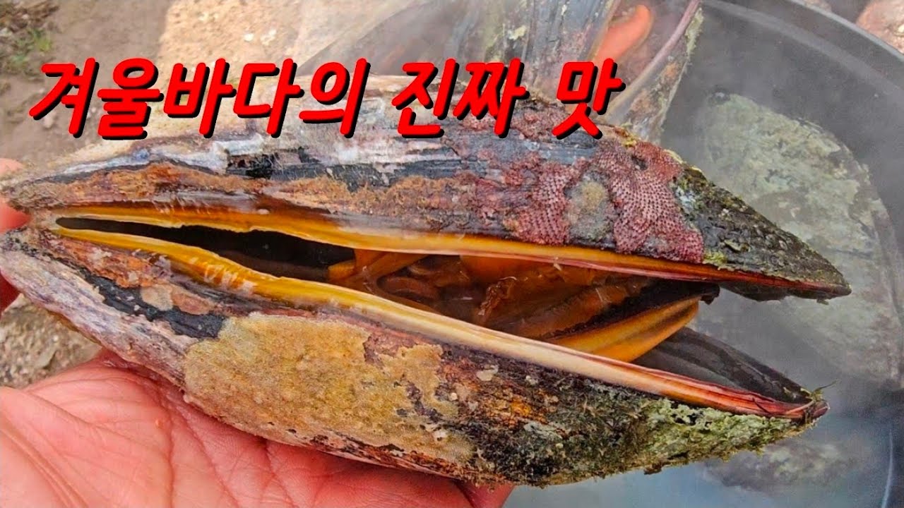 영하의 겨울바다, 끓는 솥에서 건져 올린 섭의 진국 I Real Winter Sea Broth