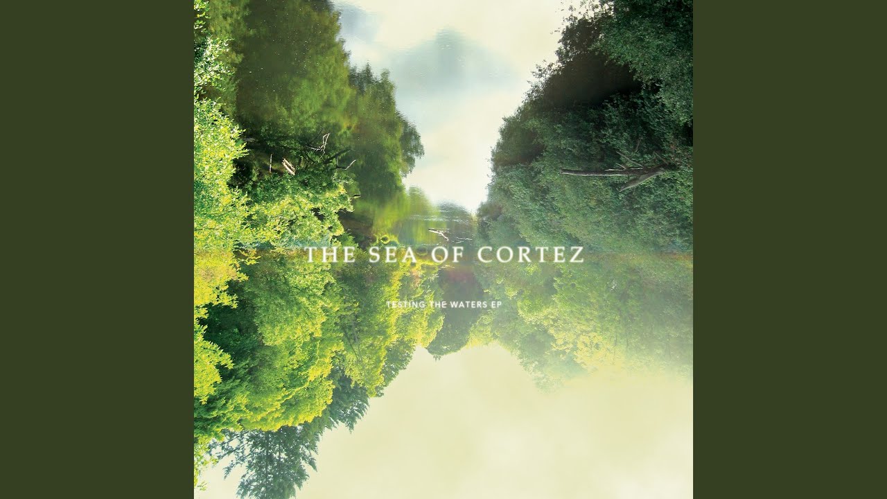 The Shores