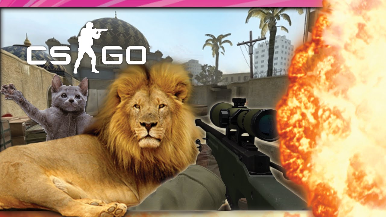 CS:GO Funny Moments With The Crew! NOVA NOOBS! (CS:GO Funny Moments & Fails)