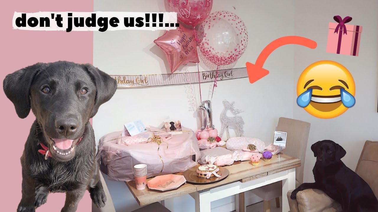 OUR PUPPY'S FIRST BIRTHDAY!!!!... we went all out!