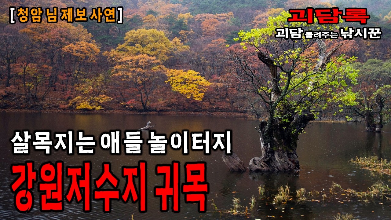 【낚시괴담】살목지 뺨 후려치는 강원도 저수지 귀신나무 물귀신 실화【청암 님 사연】│괴담록│무서운 실화│귀신실화│귀신이야기│귀신경험담│공포실화│공포괴담│무서운이야기 실화