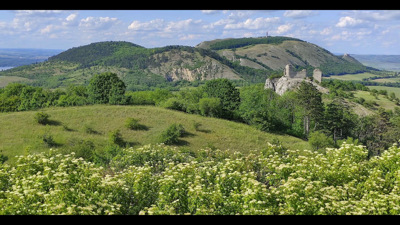 Pavlovské vrchy (PÁLAVA)