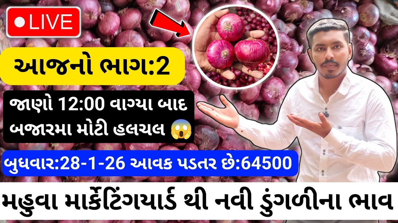 આજના ભાગ:2 ભાવમાં મોટી હલચલ😱| 28/1/26 | Red Onion Rate Today💸| लालप्याज का बाजारभाव🧅| APMC MAHUVA🔥