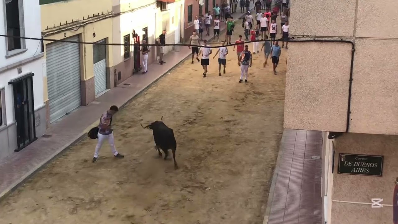 Penya taurina hostalets 2025. 2 torre de Onofre y una vaca del torero