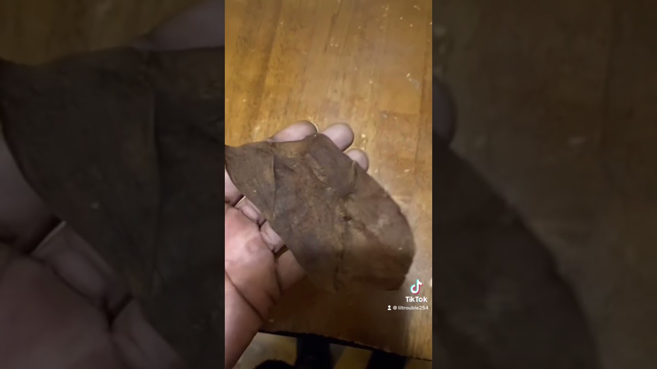 HOW TO ROLL A BACKWOOD #backwoods #howto #tutorial #funny #fyp #funnyvideo #viralvideo #viral