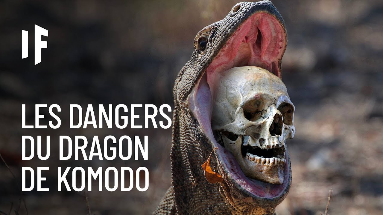 Et si vous étiez attaqué par un dragon de Komodo ?