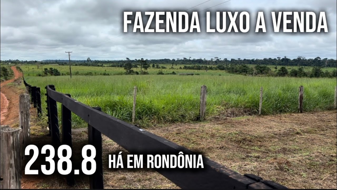 Fazenda luxo a venda em Rondônia de 238.8 há farm for sale in Brasil 