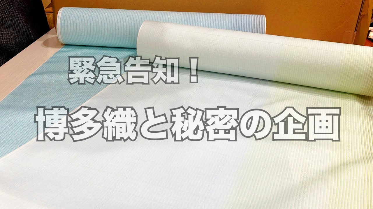【緊急入荷！】西村織物さんからの追加商品が今回も可愛すぎた！！#着物 #博多織 #京都 