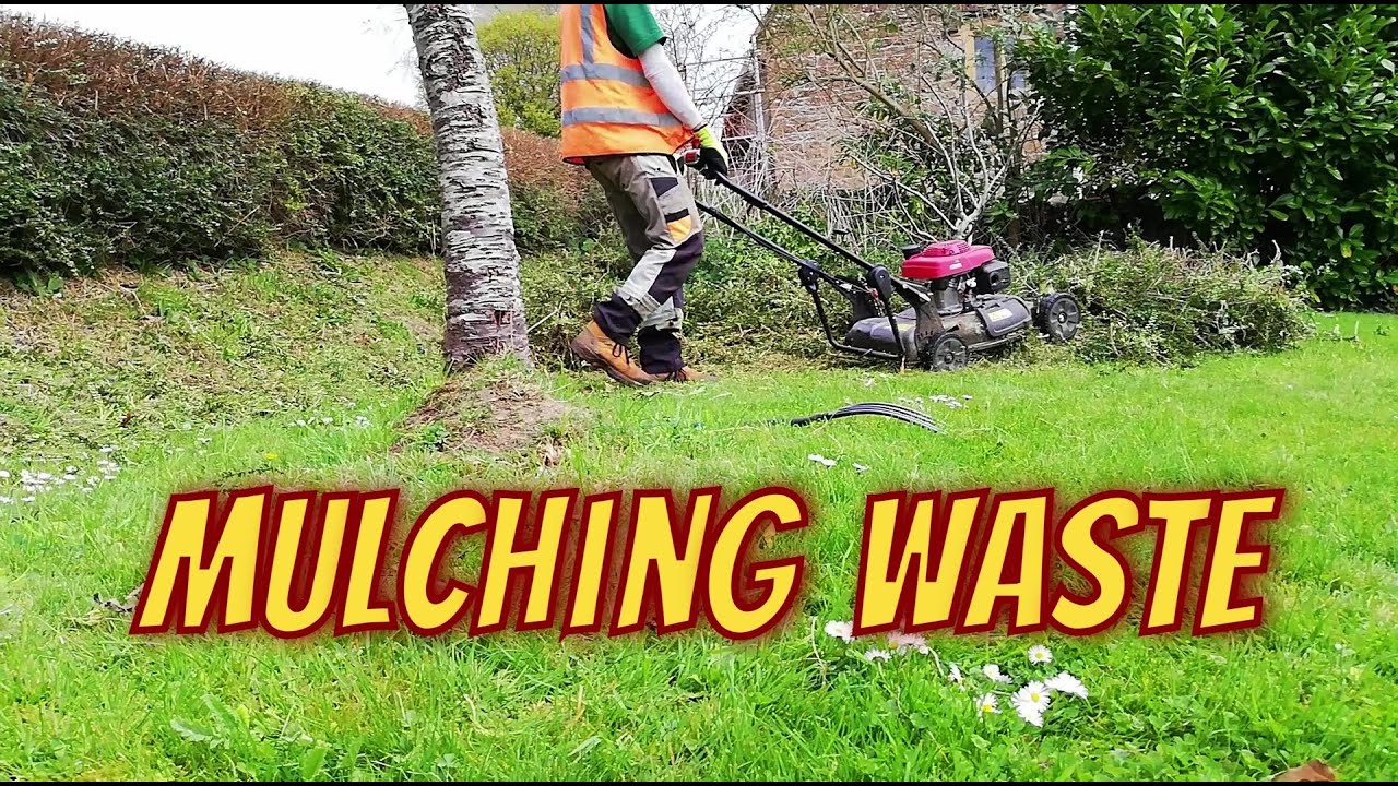 How To Deal with Hedge Trimming Waste with a Mulching Mower