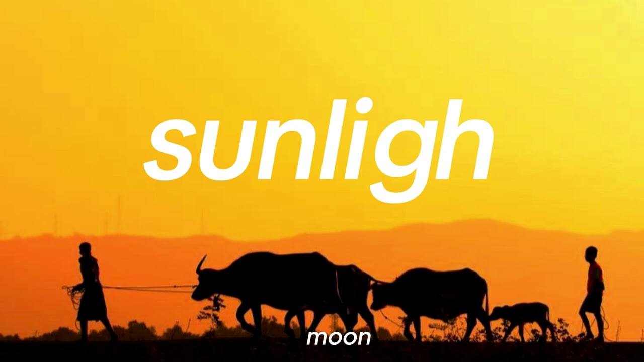 sunlight - official moon | lyric song and audio