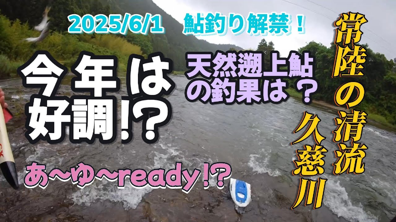 今年の久慈川は期待していい？鮎釣り師が気になる天然遡上鮎の状況は！？ＫＩＴＡＩＢＡサーフを離れ鮎釣り師三年生のなべやすが解禁初日に釣戦！