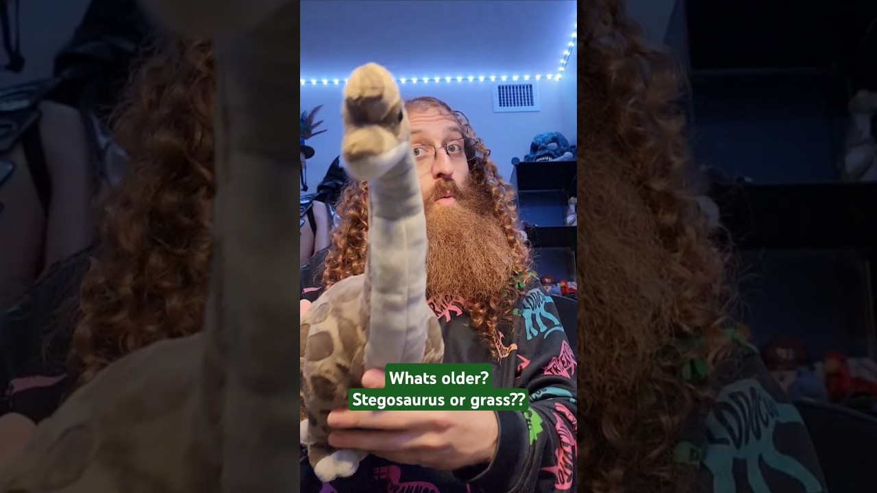 DINO FACTS! What's older? Stegosaurus or grass?? #dinosaurs #museum #weirdhistory