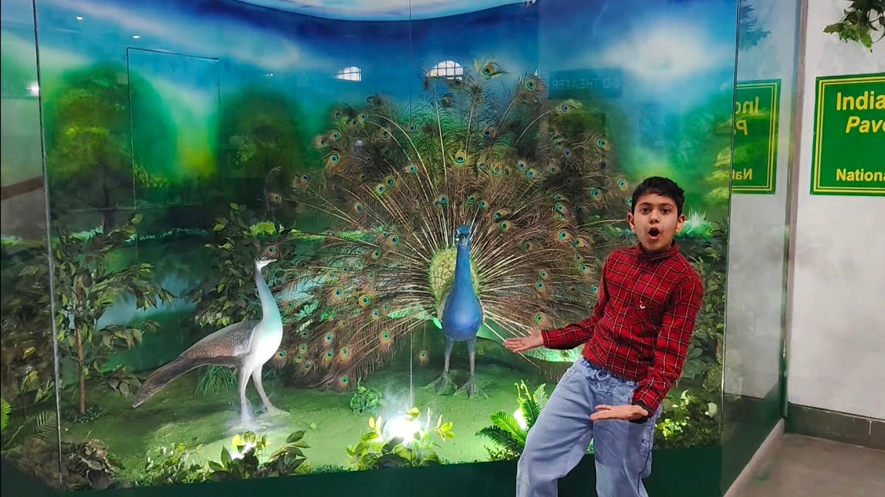 Science city 🏙️ vlog My first vlog was fun 😊😊😊😊🧪🔭🥇☺️😌