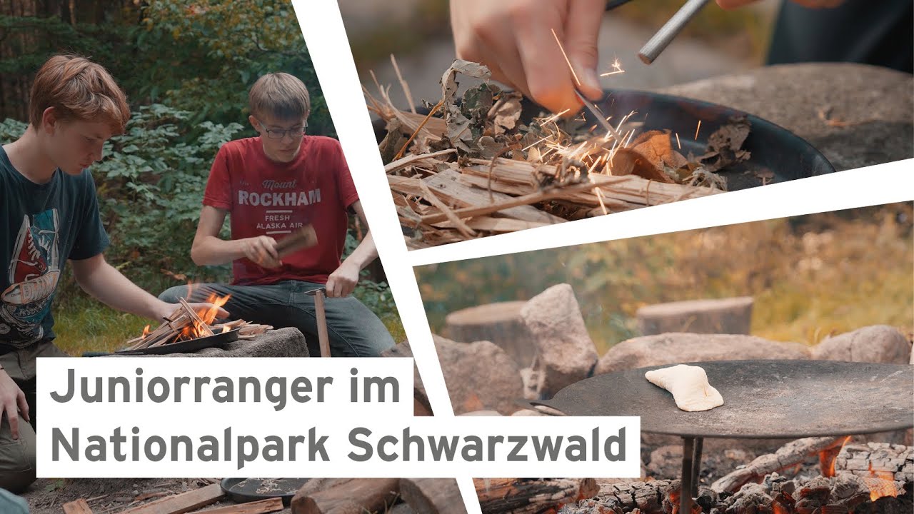 Juniorranger im Nationalpark Schwarzwald