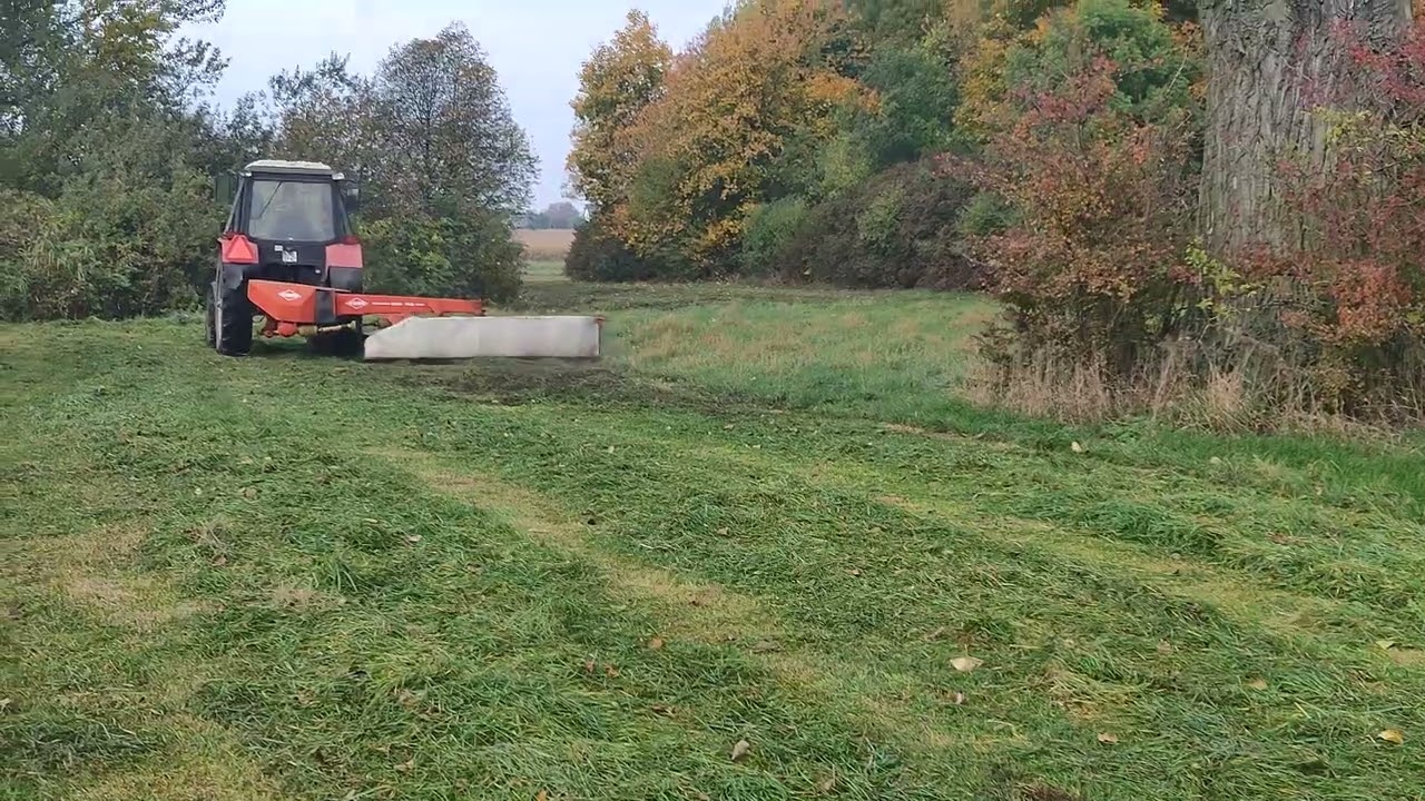 Belarus 820 i kosiarka Kuhn GMD 702