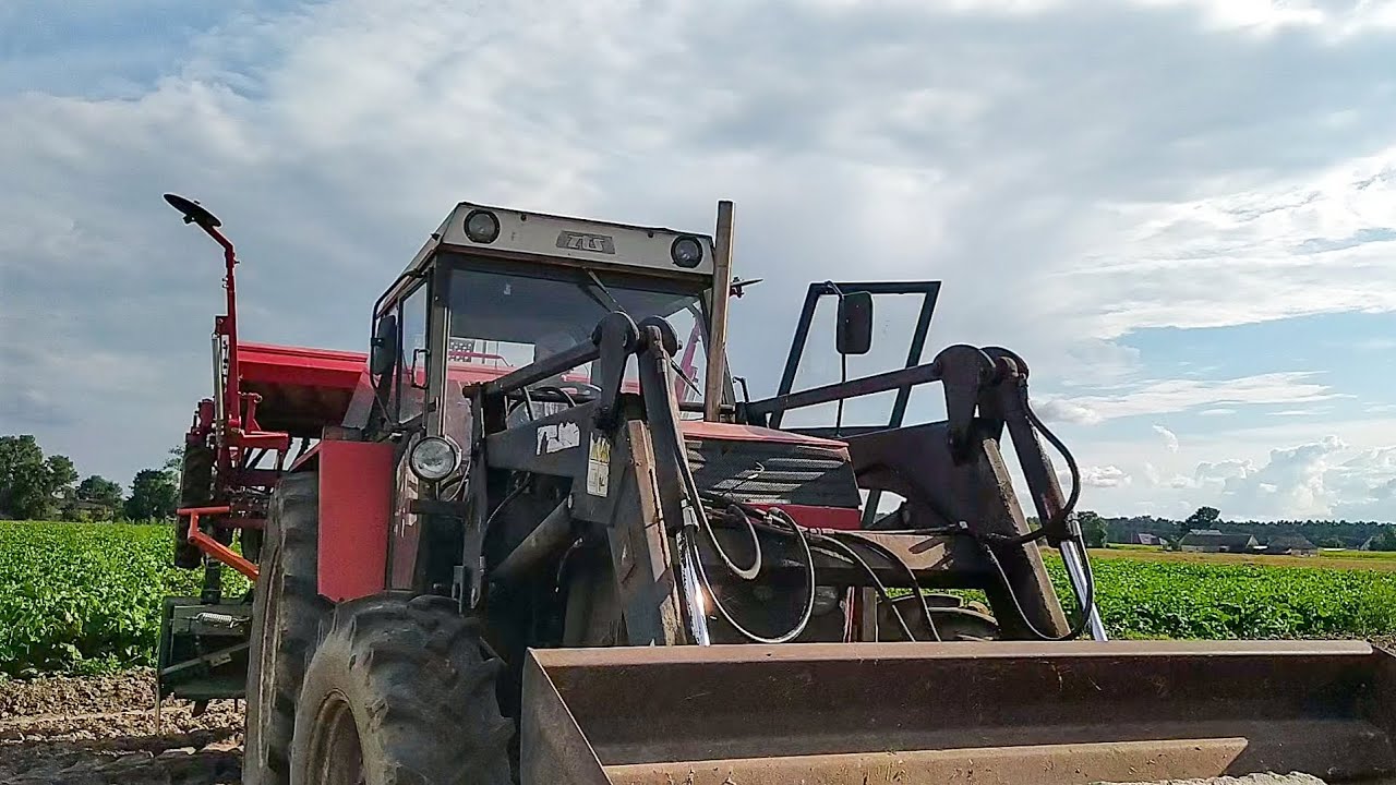 🔥Nieudany siew rzepaku cz. 2🔥105km vs 3m🔥Przepalanie zetora🔥Agro Rogoś🔥