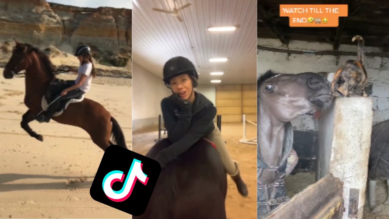 TikTok Horse Fails/Falls compilation
