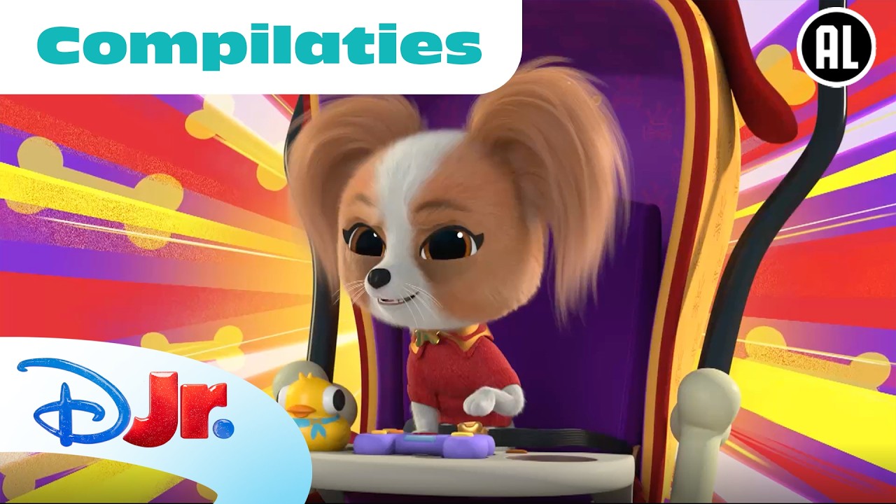 🐾 Puppystreken! | Super Katjes| Disney Junior België-Nederland