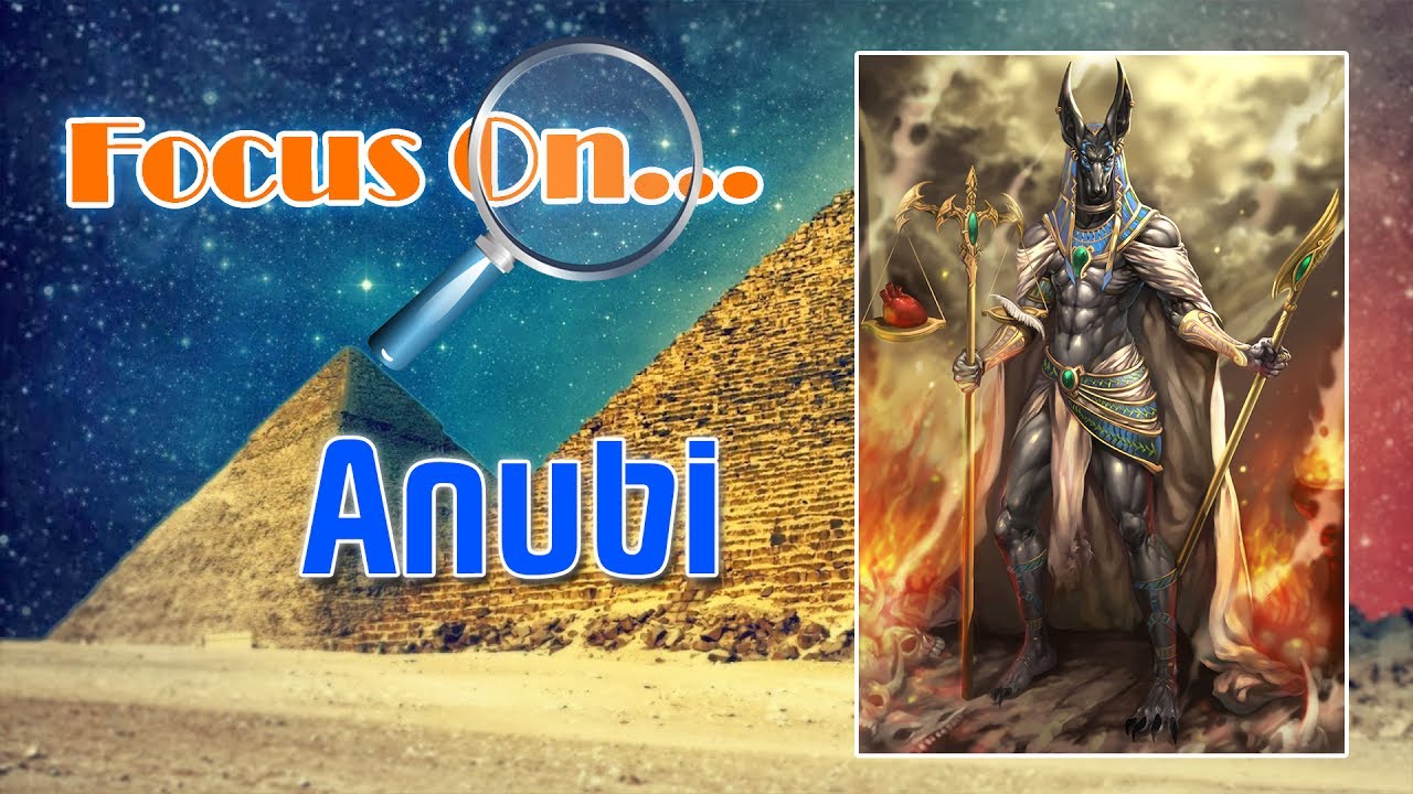 Focus On: Anubi