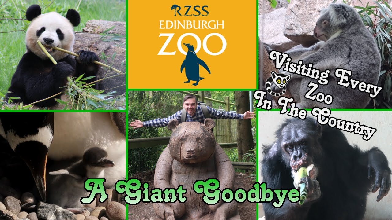 Edinburgh Zoo, A Zoo Where You Can See Behavioural Research!