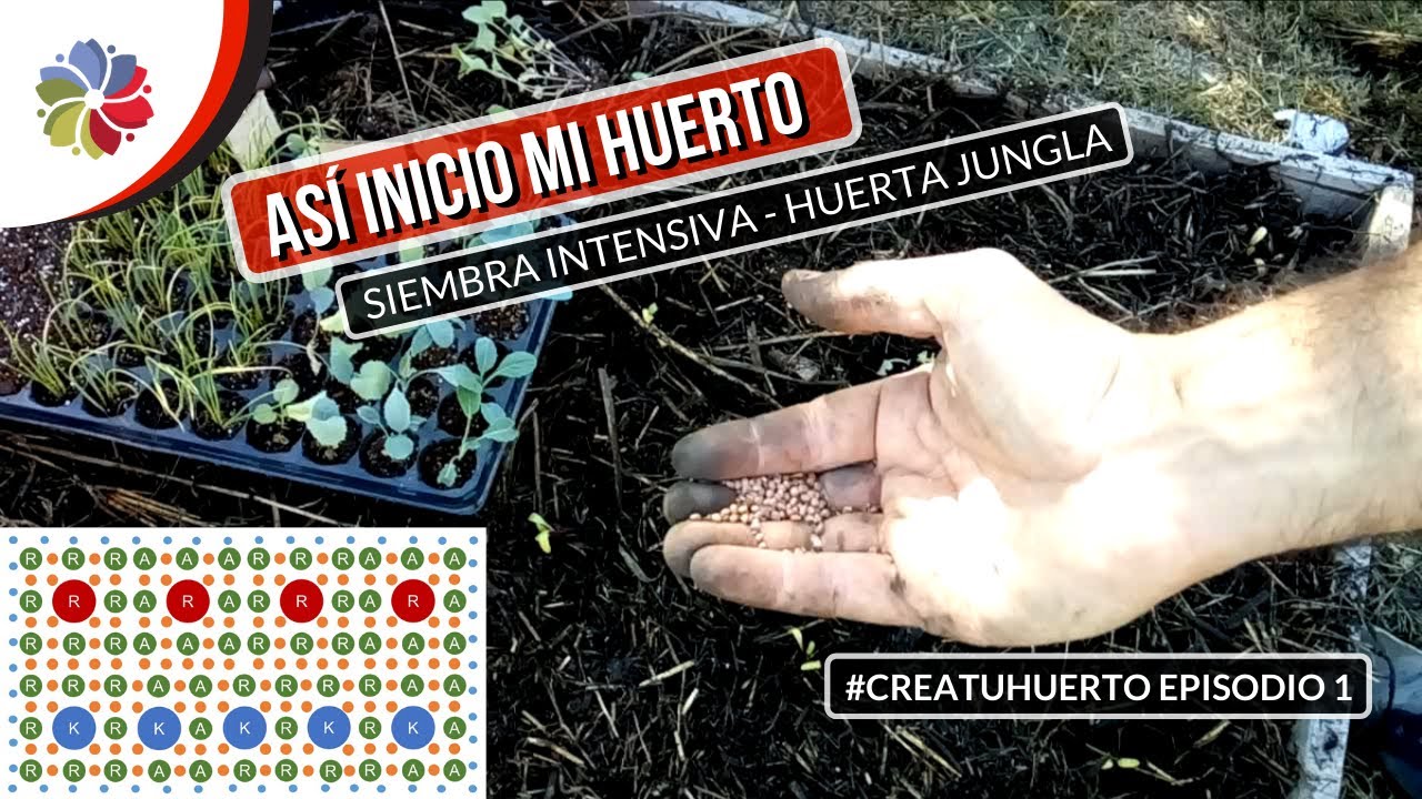 ⛏️ ASÍ CULTIVO mi COMIDA SIN VENENOS - HUERTA JUNGLA y a PRUEBA de GATOS. #CreaTuHuerto Ep1