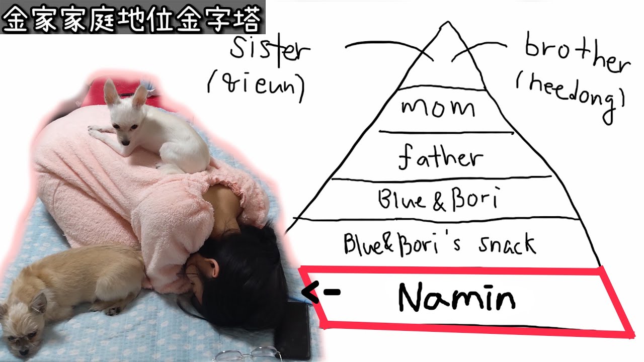 【Namin】關於我在家中的地位和粉絲名naminions的由來！