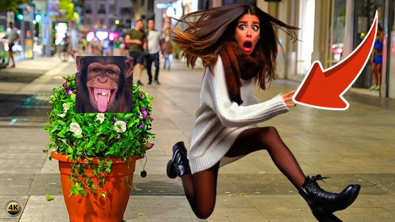 Ultimate Bushman Prank 2026… You Won’t Believe These Reactions! 🤯