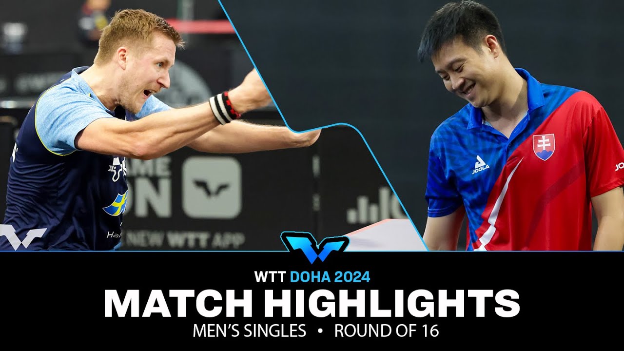 Yang Wang vs Mattias Falck | MS R16 | WTT Contender Doha 2024