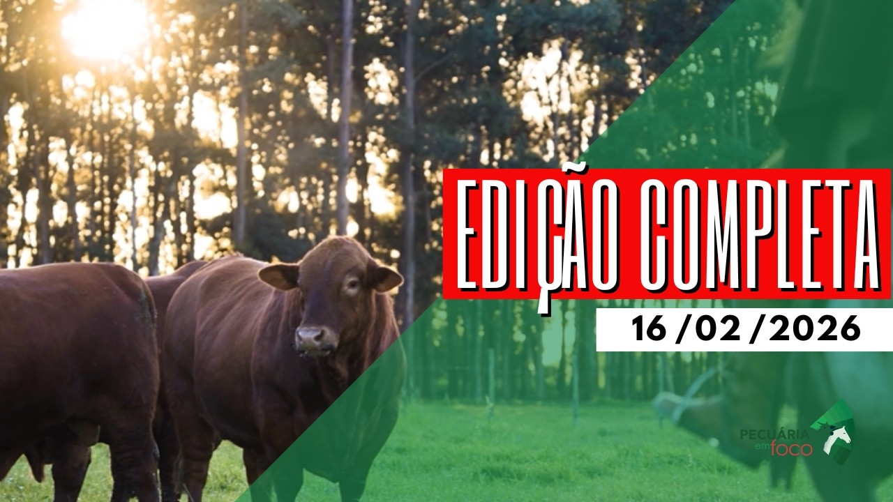 PECUÁRIA EM FOCO - EDIÇÃO COMPLETA - 16/02/2026
