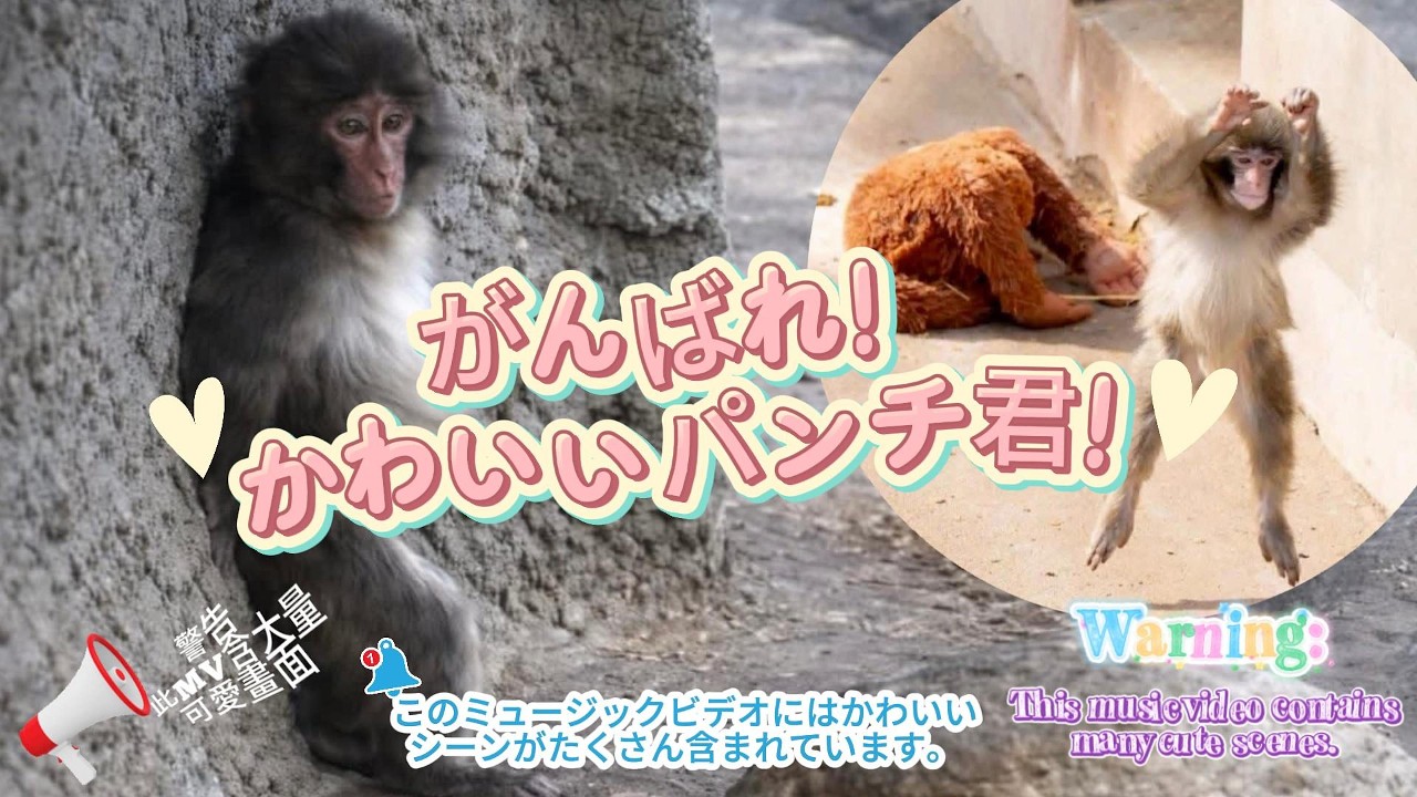 がんばれ! かわいいパンチ君! Do your best, Cute Panchi-kun