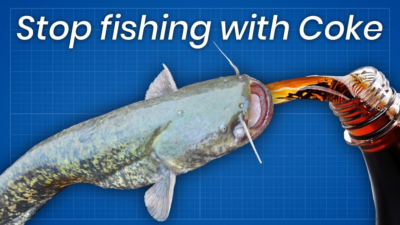 What Actually Happens in the Coca Cola and Mentos Fishing Experiment