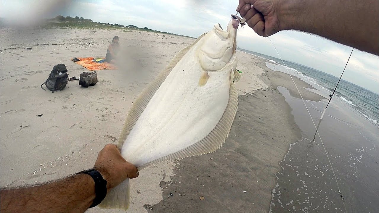 BIG Fishing * BIG Bait * BIG Fish * BIG Fluke * BIG Bunker * BIG Surf * BIG Stingrays