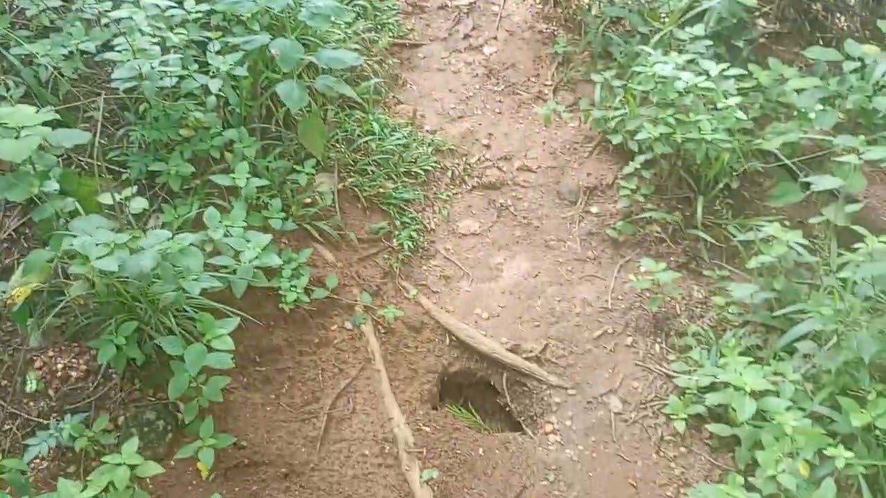 SUBIDA ENCRIVEL DO MORRO MESTRE ÁLVARO  ..PARTE 1