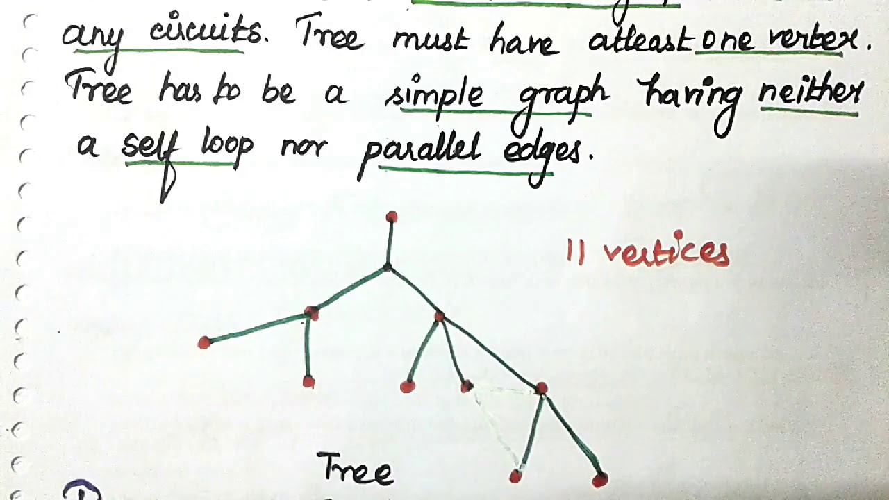 #13 Introduction To Tree And its Properties in Graph Theory[Tamil]