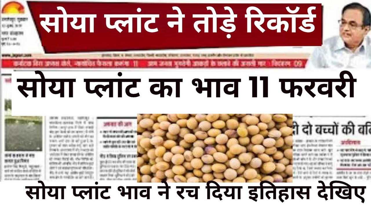 सोयाबिन प्लांट 5 फरबरी 2026 |Soyabean plant bhav |soya Plant bhav today|soybean price today