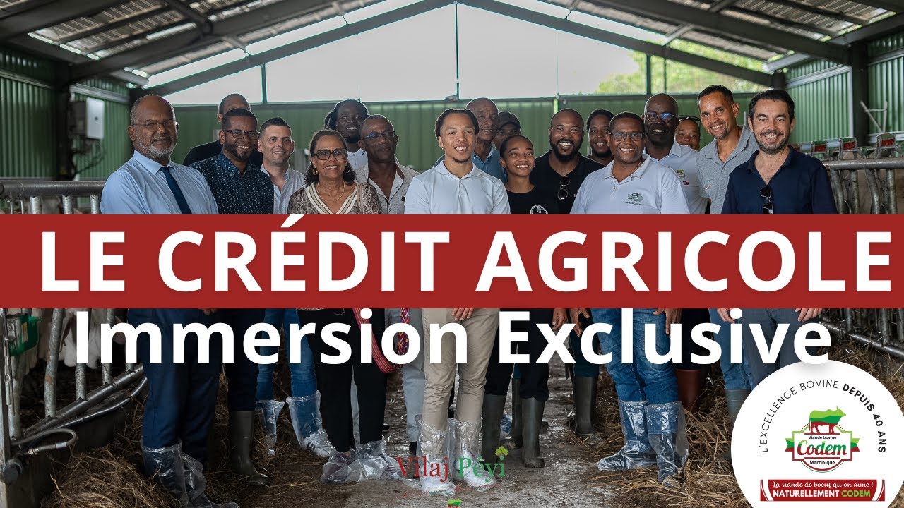 Quand le Crédit Agricole rencontre la CODEM : confiance et avenir local