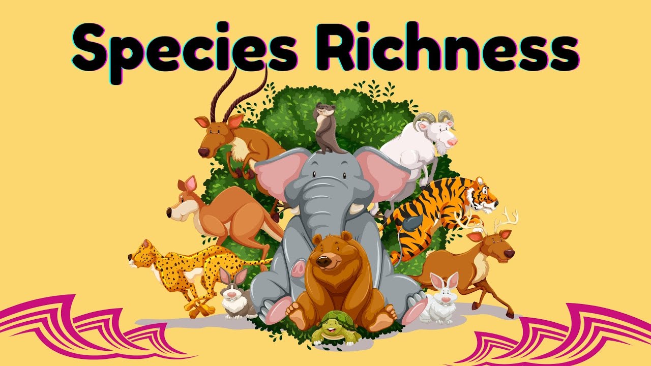 Species Richness: Why Counting Species Matters for Biodiversity & Ecosystem Health