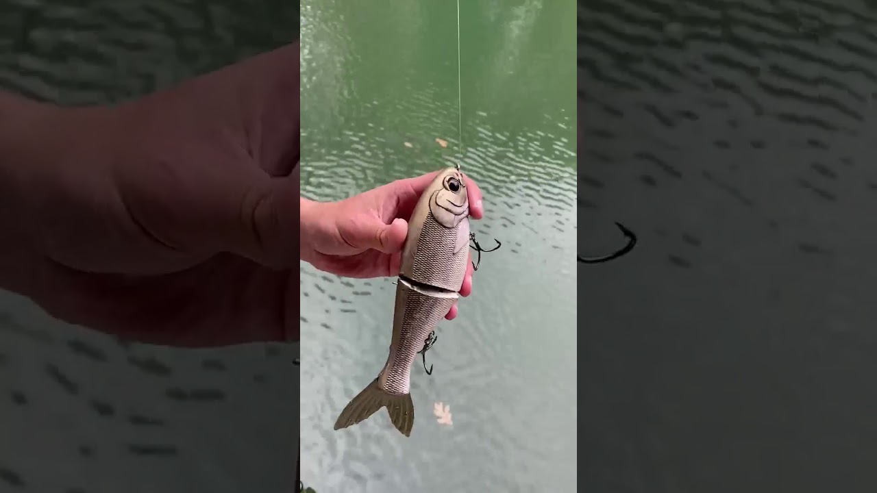 Swimbait Review: Bull Shad Shad Glide