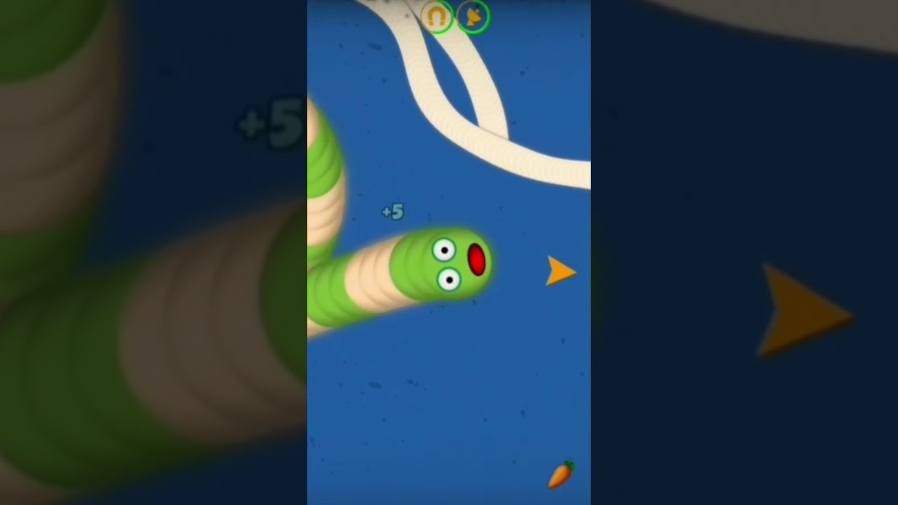 Worms Zone. io pro gameplay!