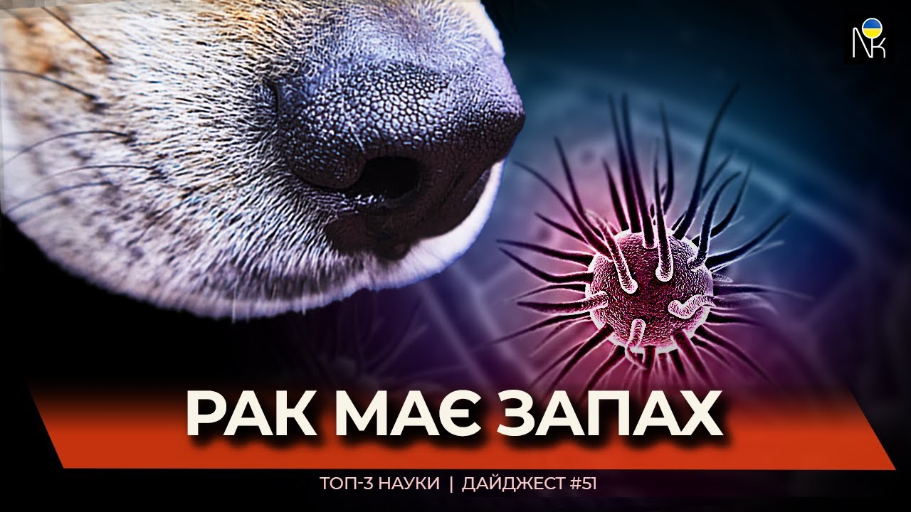 Собаки діагностують рак | ШІ знаходить інфекції за 20 хвилин | Пластик ловить CO₂