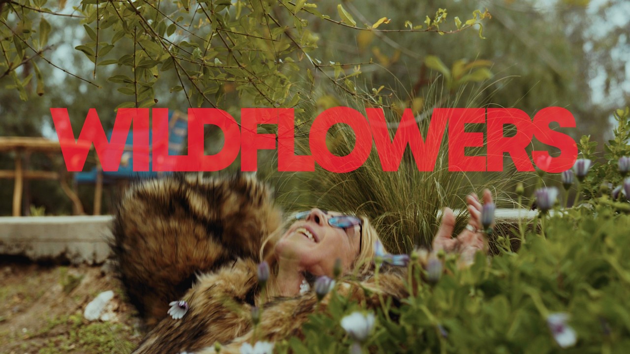 WILDFLOWERS