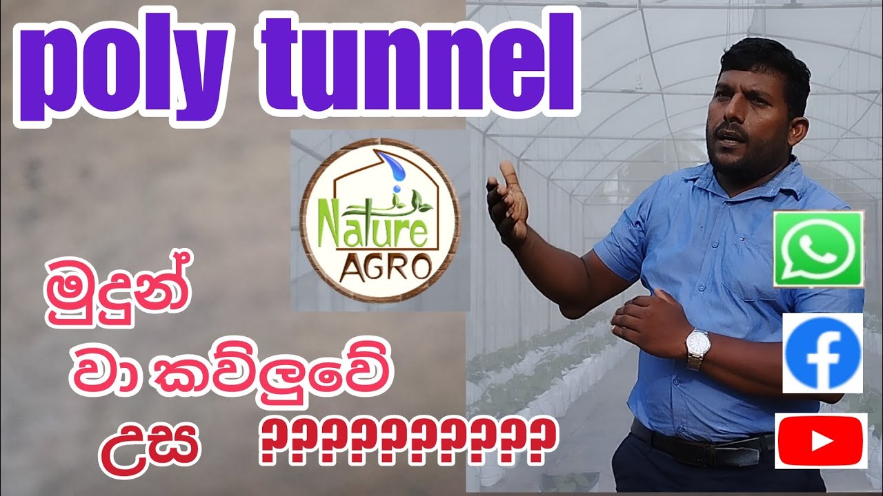 පොලි ටනල් | poly tunnel | standerd of poly tunnel | protected agriculture | top vent of poly tunnel