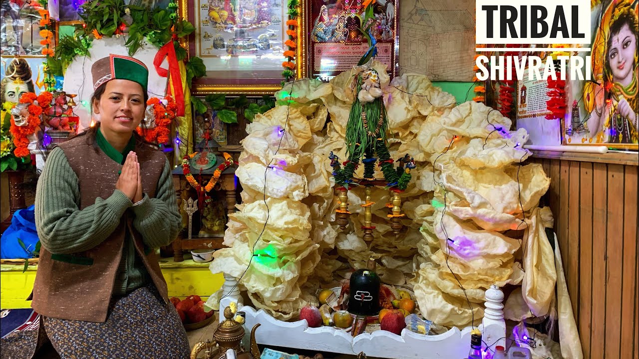 Shivratri different from rest of India - Tribal Shivratri.