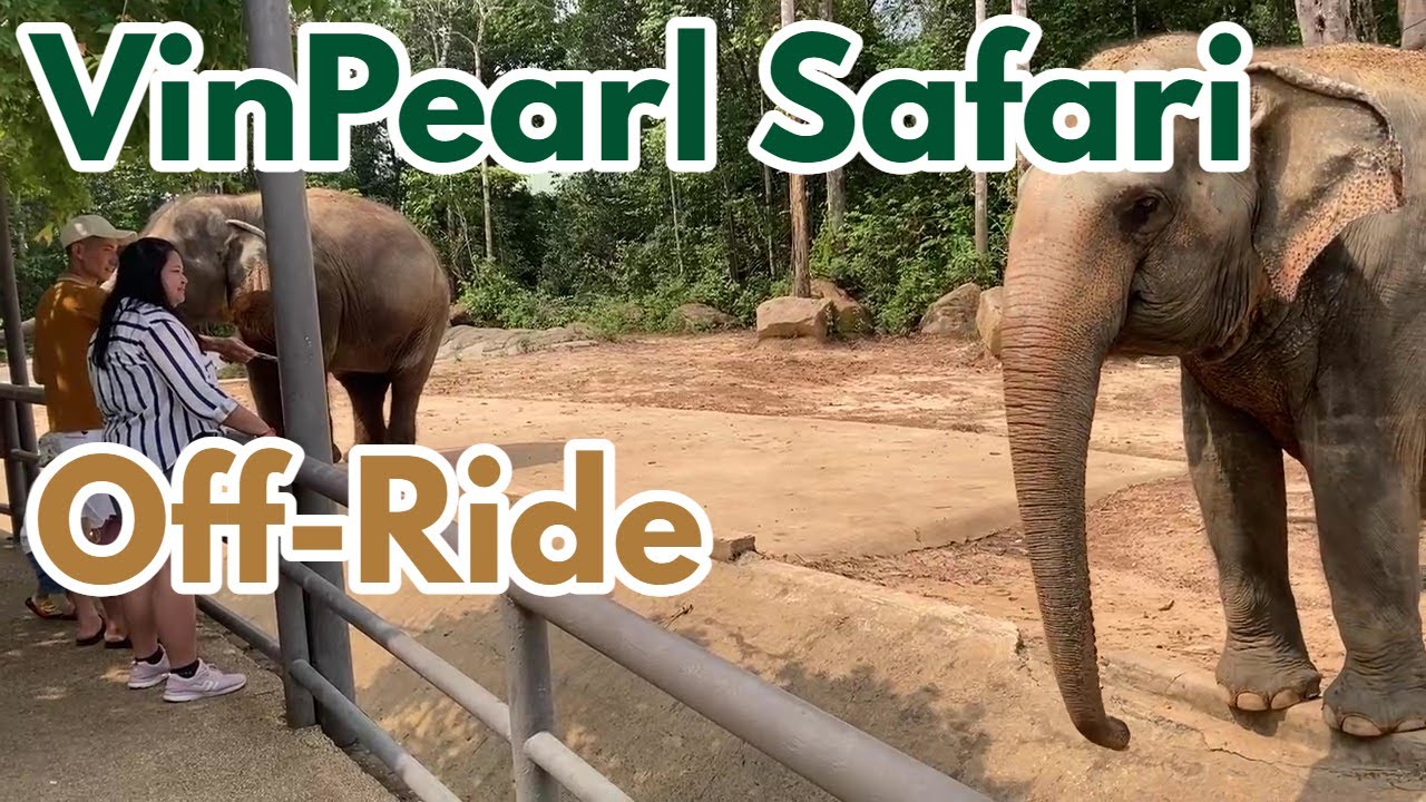 VinPearl Safari | Off-Ride