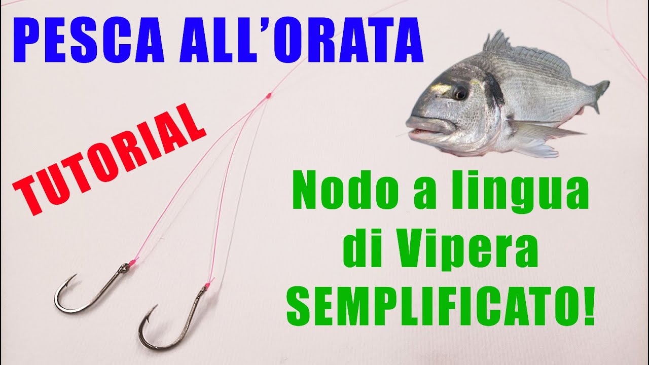TUTORIAL- Nodo a lingua di vipera accessibile a tutti? ecco come farlo! Pesca all'orata con Granchio