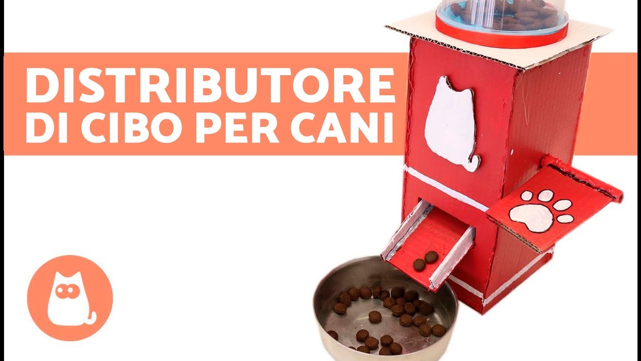 Distributore di cibo per cani FAI DA TE - Lavoretti per cani!