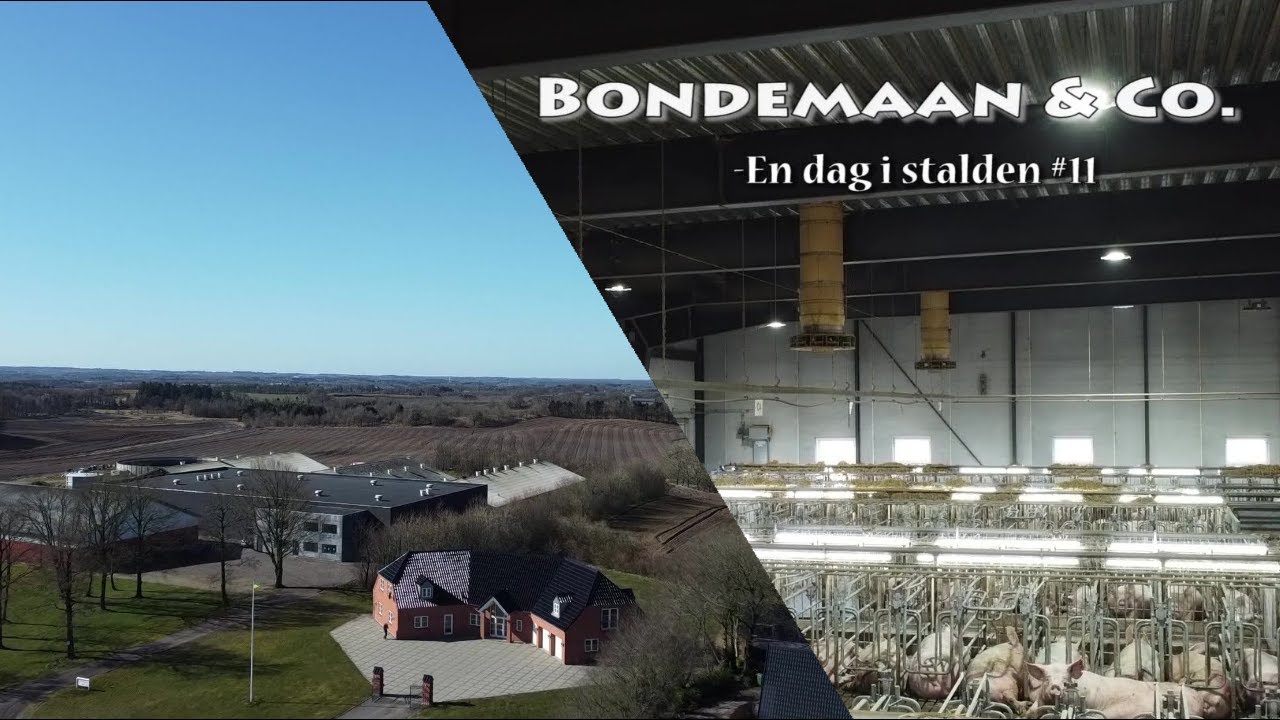 En dag i stalden #11 - del 1