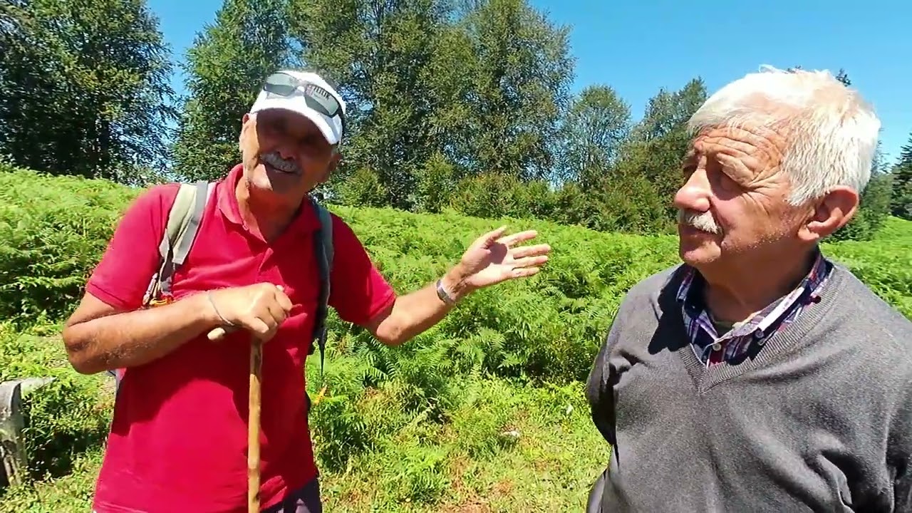 Gümeli Tabiat Parkı Anıt Ağacın Hikayesi ve Bölüklü Yaylası Bacaklı Yayla Gezisinin Birinci Bölümü