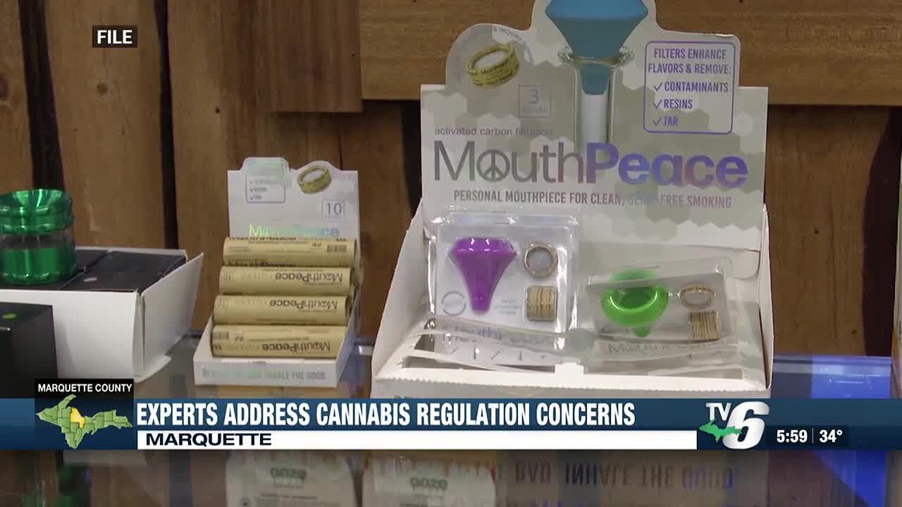 Michigan cannabis regulation official presents proposed new rules to industry professionals