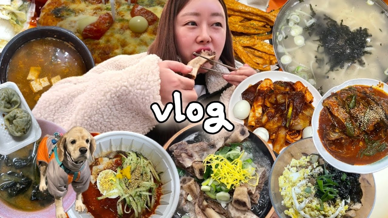 [먹방vlog] 이번주 제가 먹은것들을 소개합니다🐷 새해도 돼지력 상승🧏🏻‍♀️ (굽네치킨,팔당 매운오징어,코다리조림,왕갈비탕,칼국수,삼계탕,치킨마요덮밥,비냉,만두)